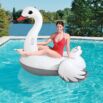 Cisne Insuflável Gigante com Asas Adultos 1,96 m x 1,74 m